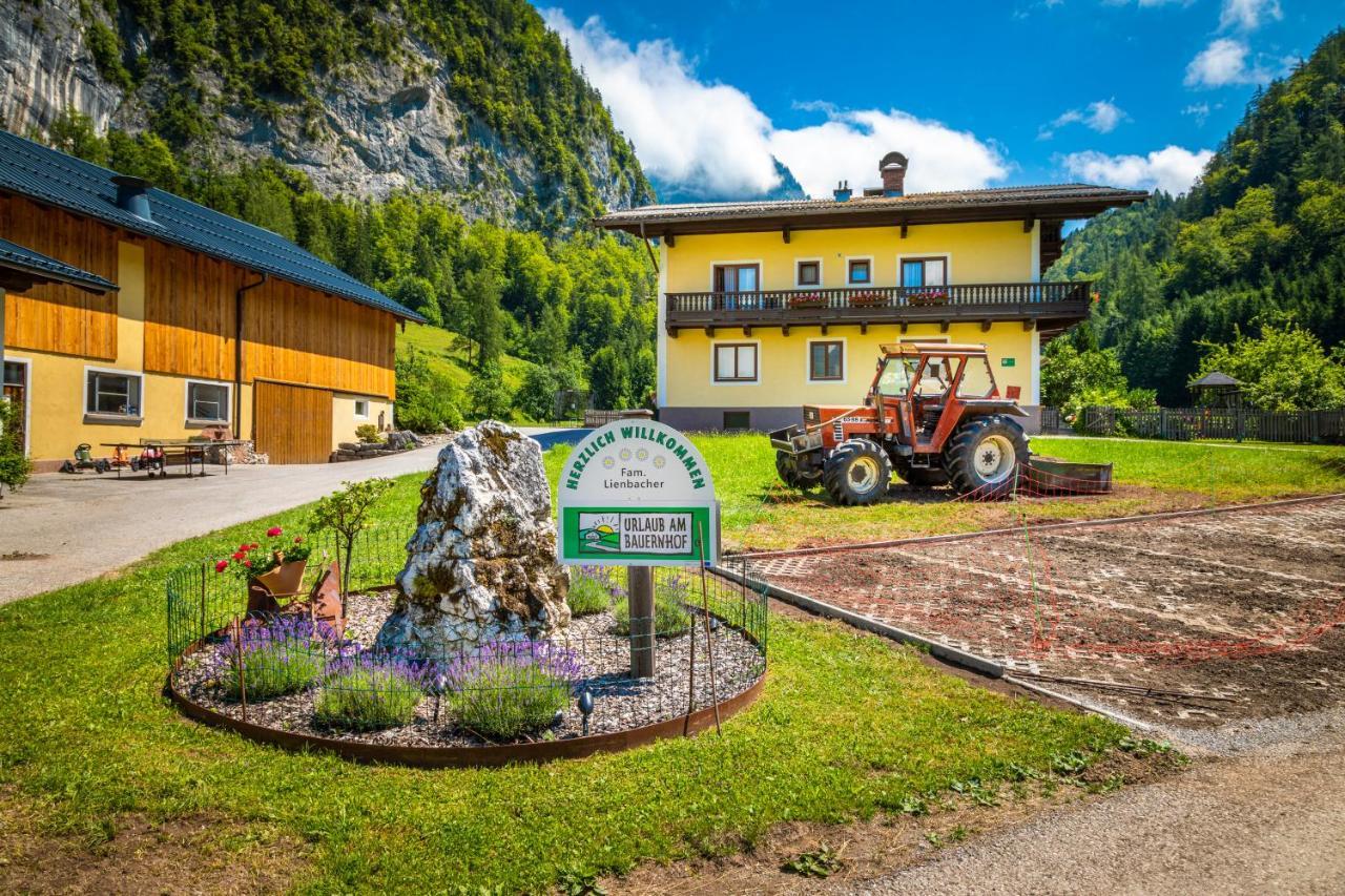 Bed and Breakfast Hinterkellaubauer Кухль Экстерьер фото