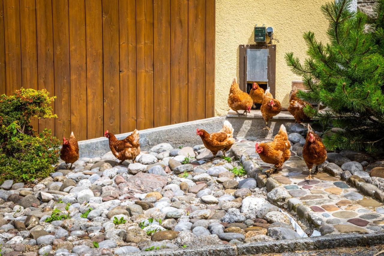 Bed and Breakfast Hinterkellaubauer Кухль Экстерьер фото