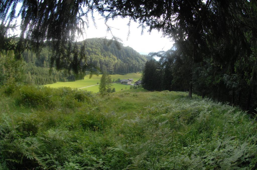 Bed and Breakfast Hinterkellaubauer Кухль Экстерьер фото